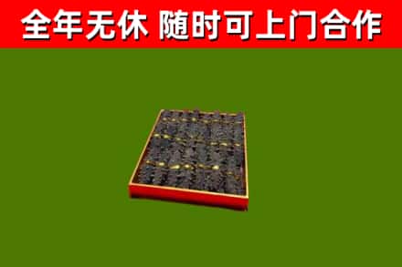 巴里坤烟酒回收海参.jpg